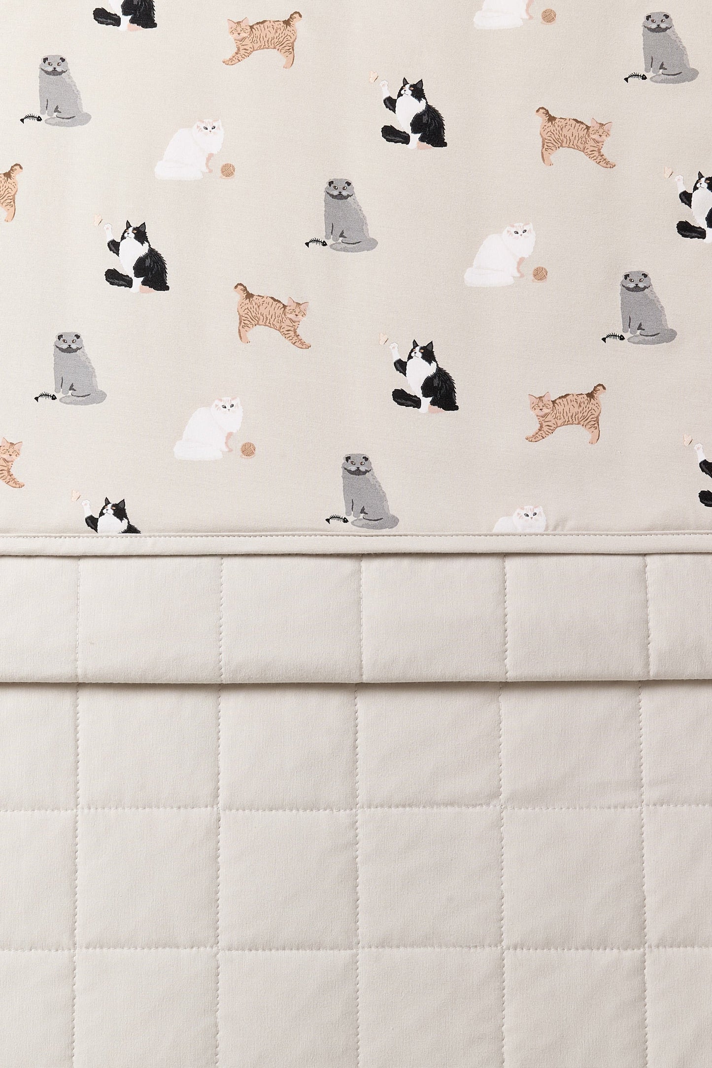 Baby Blanket in Fluffy Cat