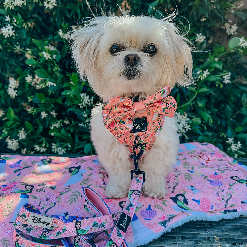 Pet Blanket - Disney's Mulan