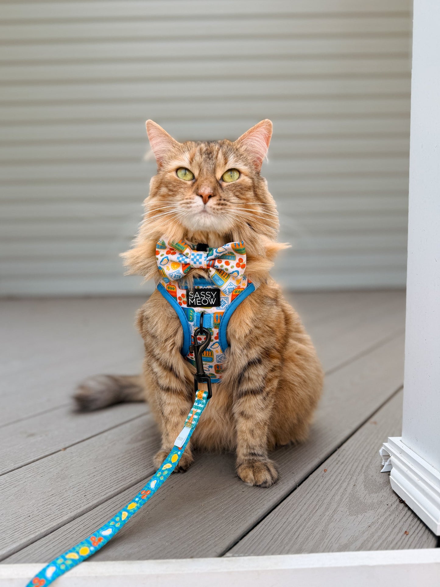 Cat Leash - Portofino