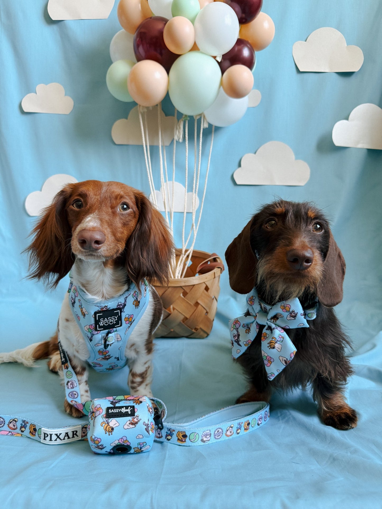 Dog Collar Three Piece Bundle - Disney and Pixar's Up