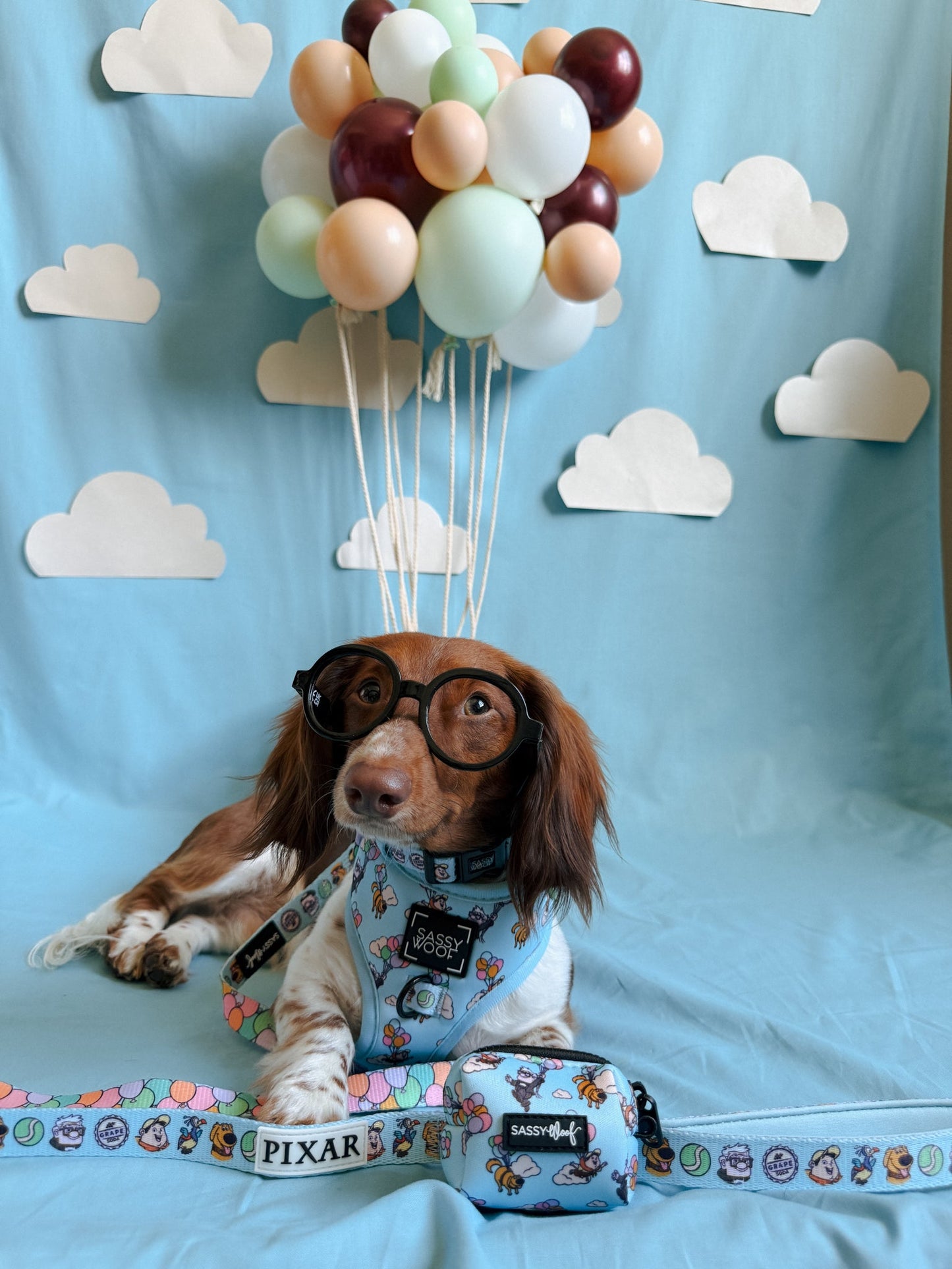 Dog Leash - Disney and Pixar's Up