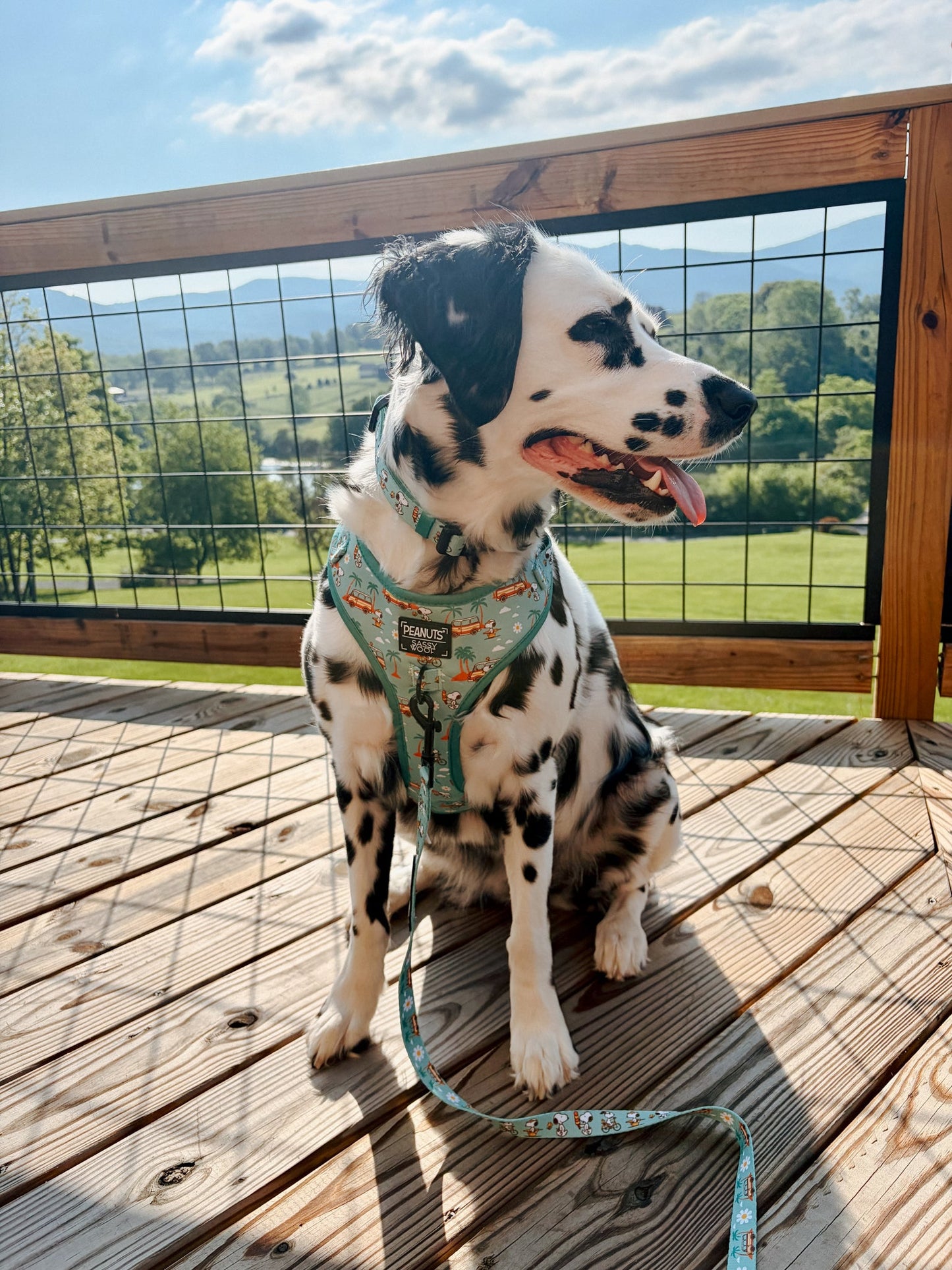 Dog Collar - Peanuts™ Road Tripping
