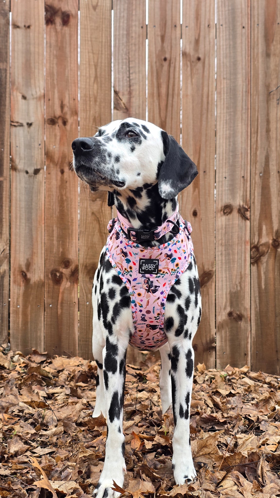 Dog Two Piece Bundle - Disney's Pocahontas