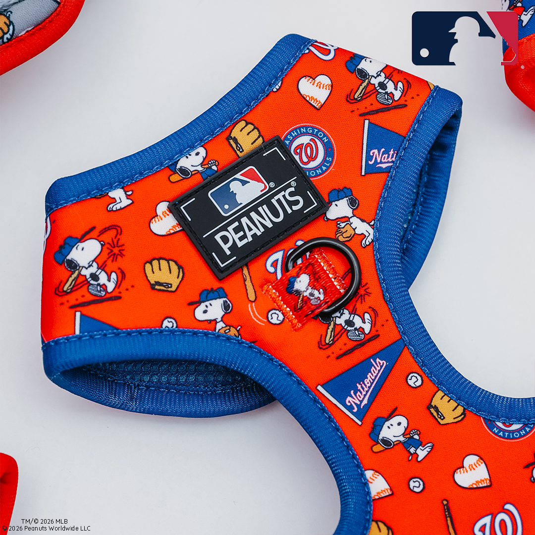 Dog Two Piece Bundle - MLB™ x Peanuts™ Washington Nationals™