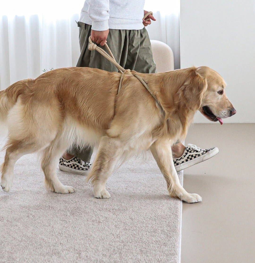 Hozi - All-in-one Harness : Beige
