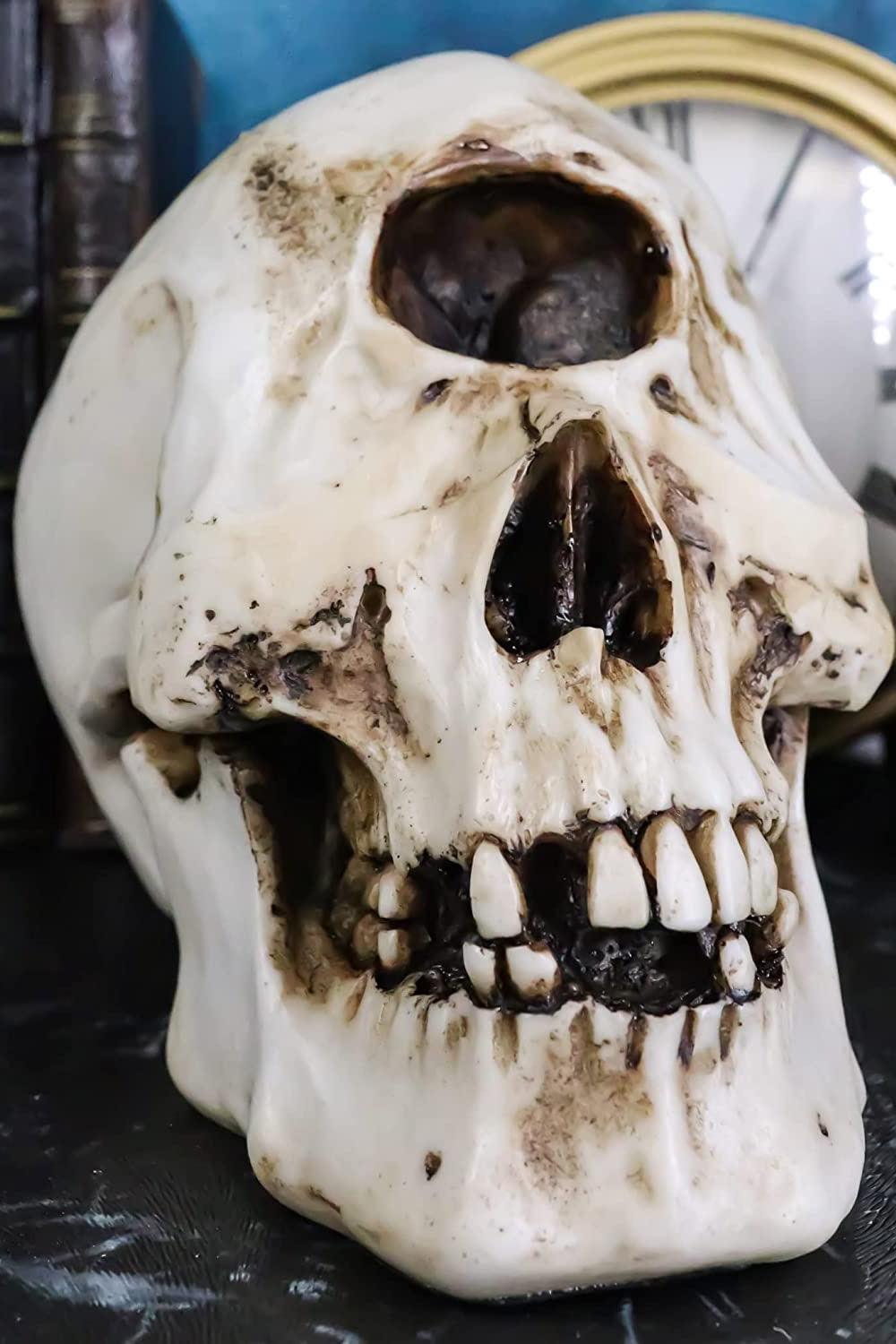 Cyclops Skull Replica