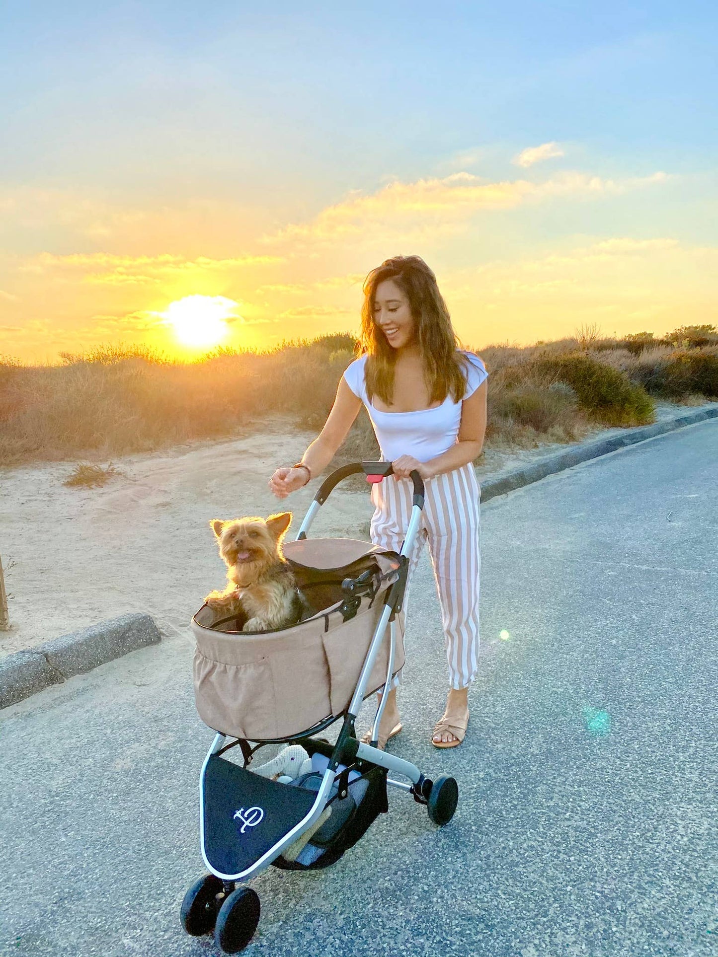 Petique, Inc - Newport Pet Stroller (3-in-1 Travel System)