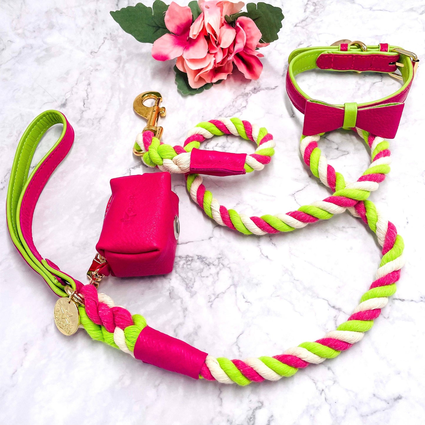 PoisePup - LEASH - CANDY SWIRL