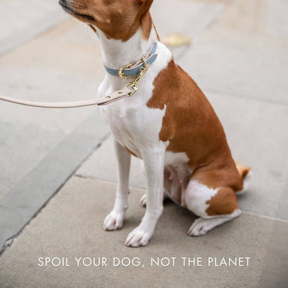 Nina Woof - Collar - Air Tag Enabled - Vegan Leather - Cupertino