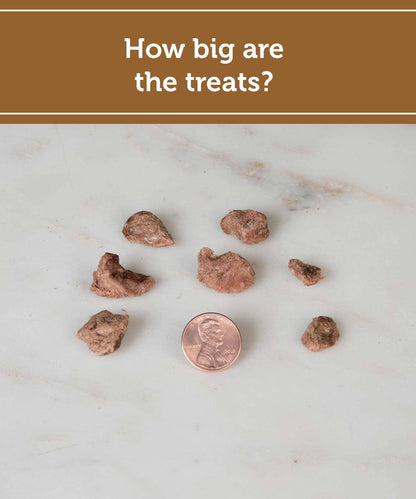 Fig & Tyler - Freeze-Dried Turkey Heart Morsels