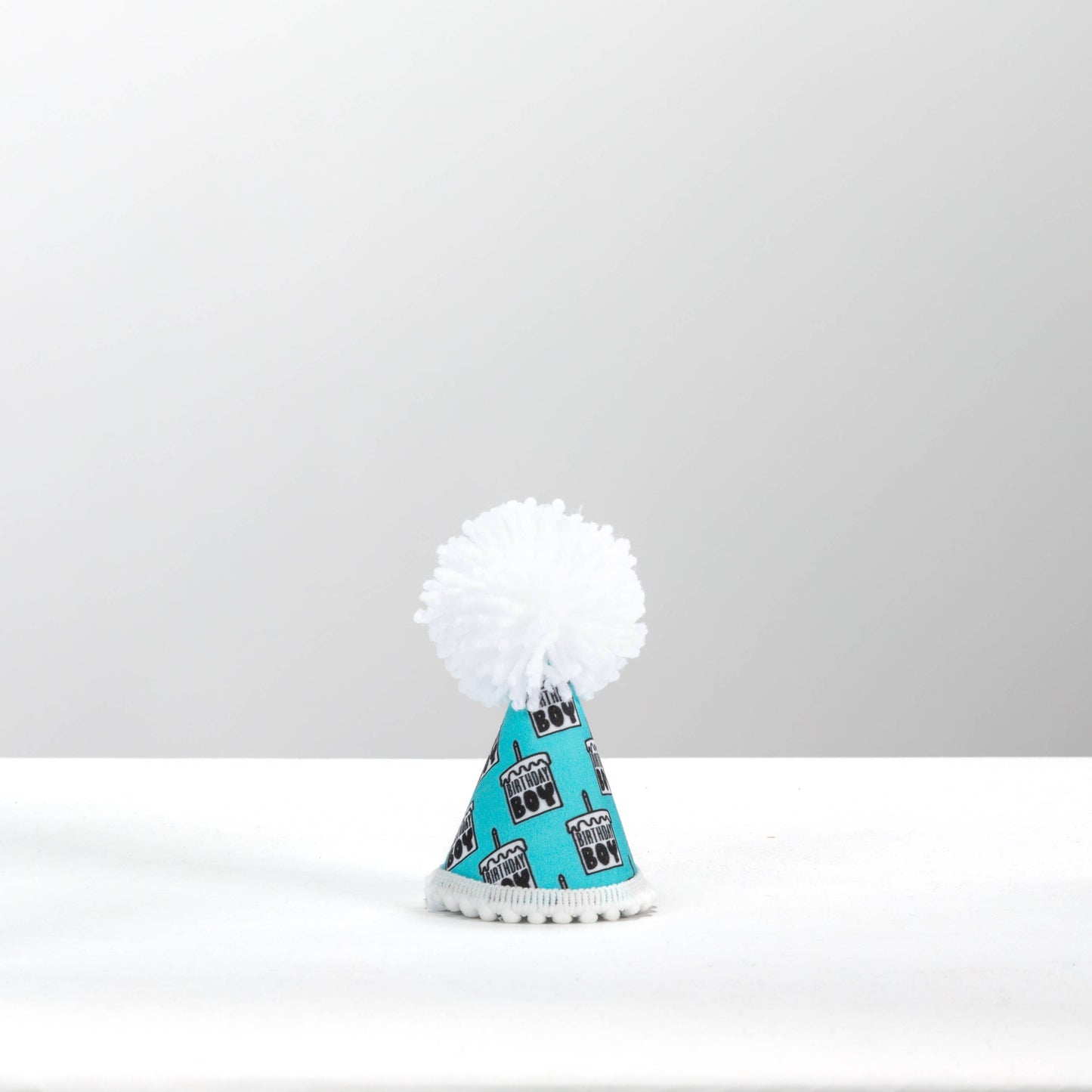 Pup Party Hats - NEW Birthday Boy Black Ink Party Hat