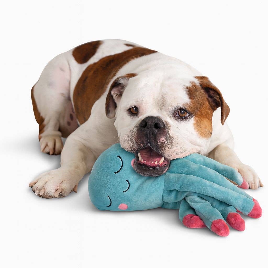 Nandog Pet Gear - My BFF™ Gus