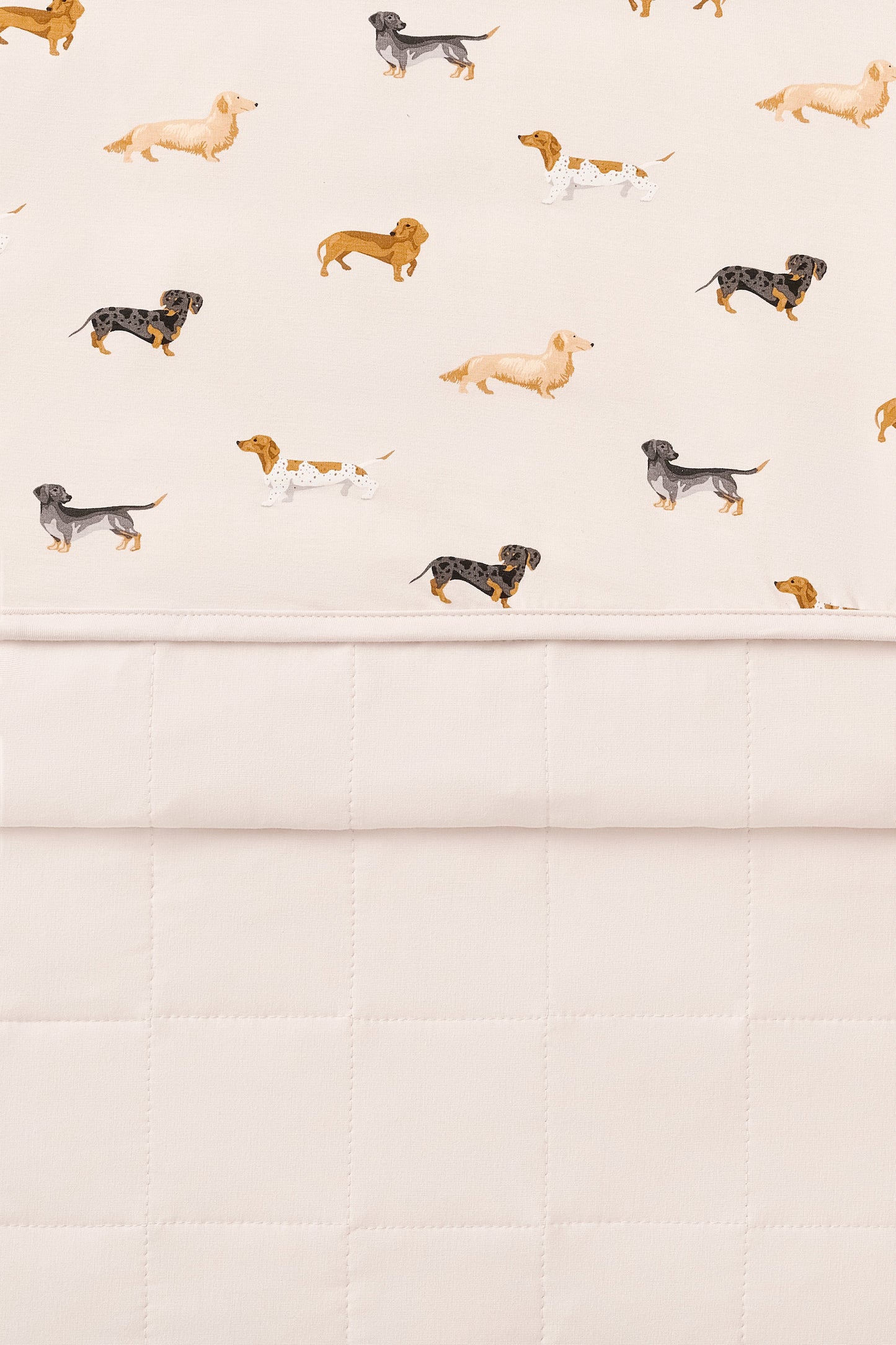 Baby Blanket in Dachshund 1.0