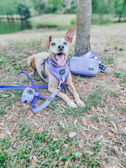 Aurora Woof Pack (Bag Only)