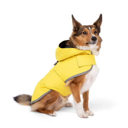 Nandog Pet Gear - Rain Coat Nandog Sport Collection: S