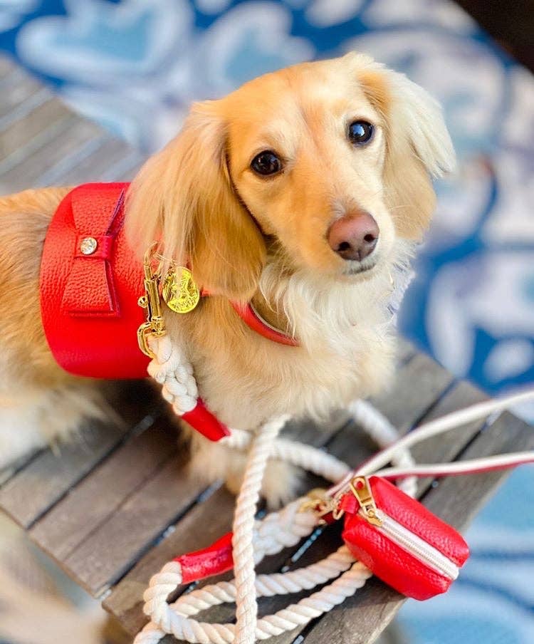 PoisePup - WASTE BAG HOLDER - MELTING HEARTS