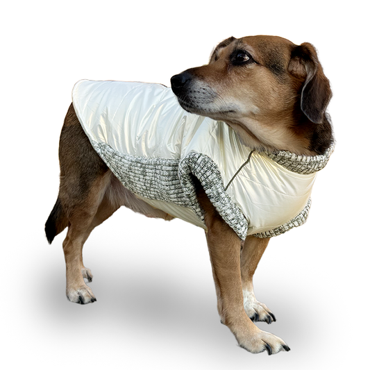 Dogo Pet - Runner Coat Metallic Pearl White