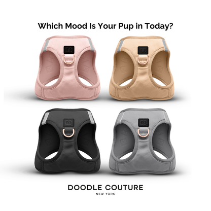 Doodle Couture, New York - WINNER - Harness Innovation of the Year Award - Blush