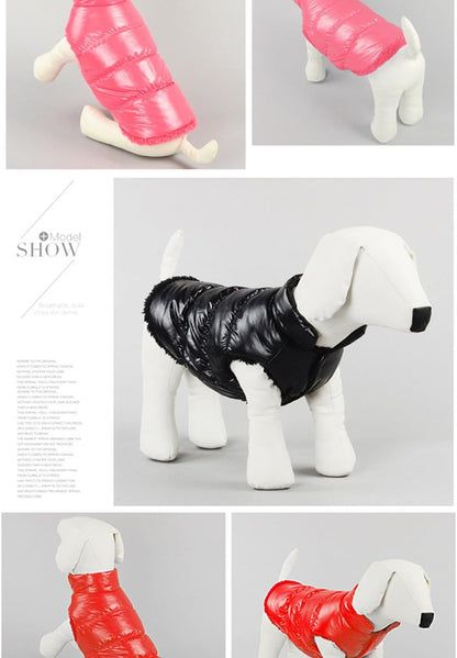 LEMON PET - Waterproof Coat Jacket for Dogs and Cats (Pink)
