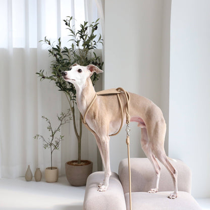 Hozi - Essential Harness - Beige