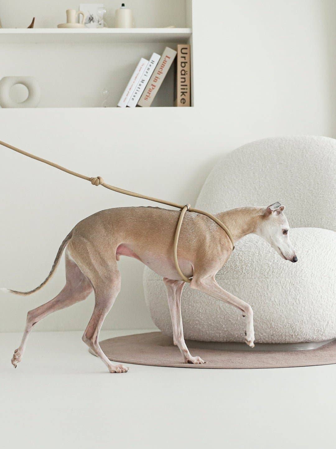 Hozi - All-in-one Harness : Beige
