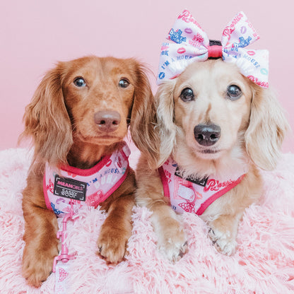 Dog Two Piece Bundle - Mean Girls™