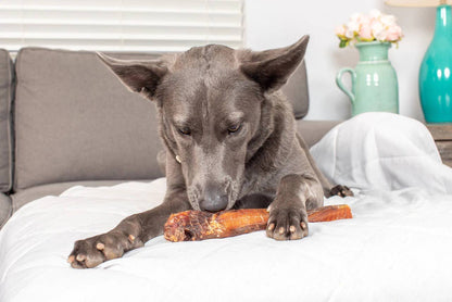 Bully Stick Super Monster USA 12"