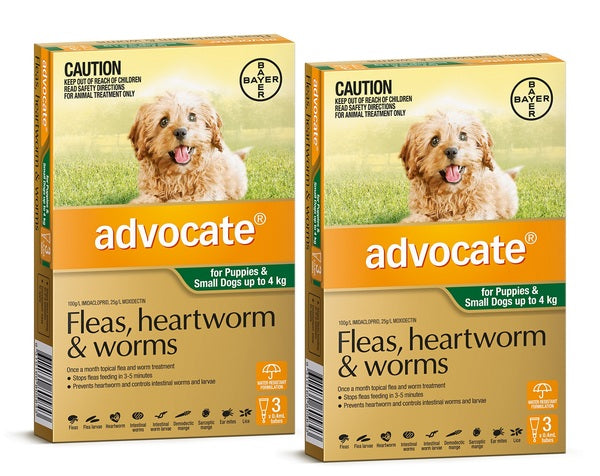 Advocate - For Dogs up to 4 kg (Small Dogs/Pups) Green