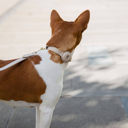 Nina Woof - Collar - Air Tag Enabled - Vegan Leather - Cupertino
