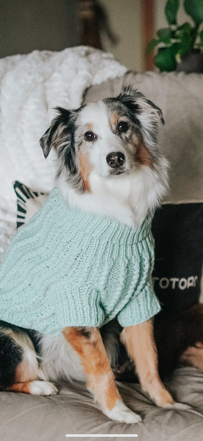 Pet Cable Knit Sweater - Mint
