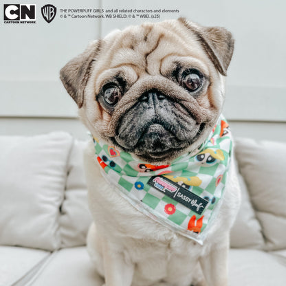 Dog Bandana - The Powerpuff Girls™ (Green)