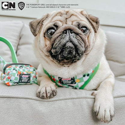 Dog Waste Bag Holder - The Powerpuff Girls™ (Green)