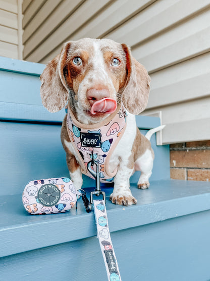 Dog Leash - Mixed With Love