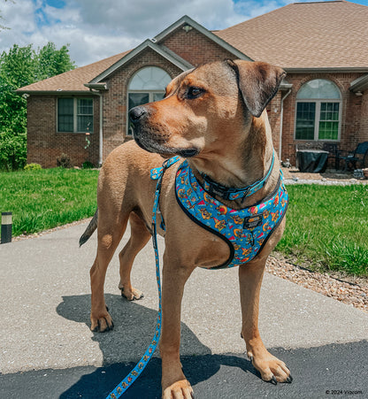 Dog Two Piece Bundle -  Nickelodeon CatDog™