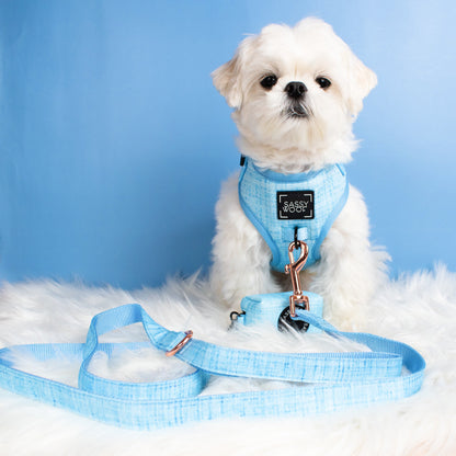 Dog Two Piece Bundle - Blumond