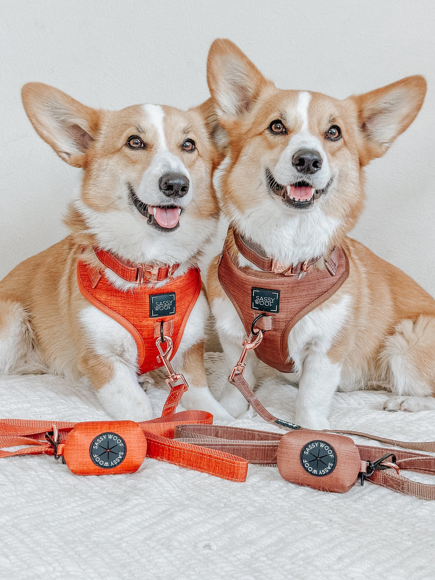 Dog Four Piece Bundle - Foxy
