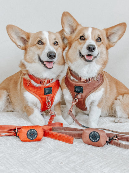 Dog Four Piece Bundle - Foxy