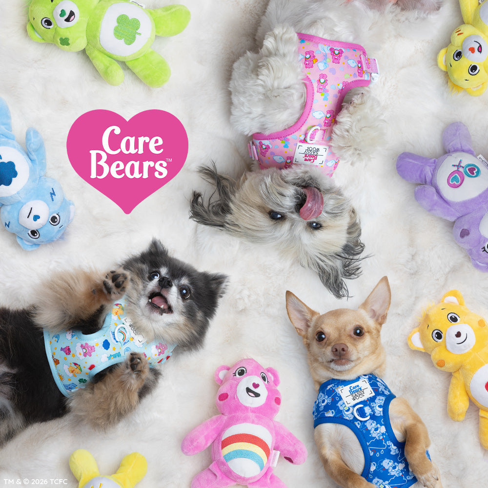 Dog Two Piece Bundle - Care Bears™ Cheer Bear
