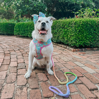 Dog Sailor Bow - Polly Pocket™