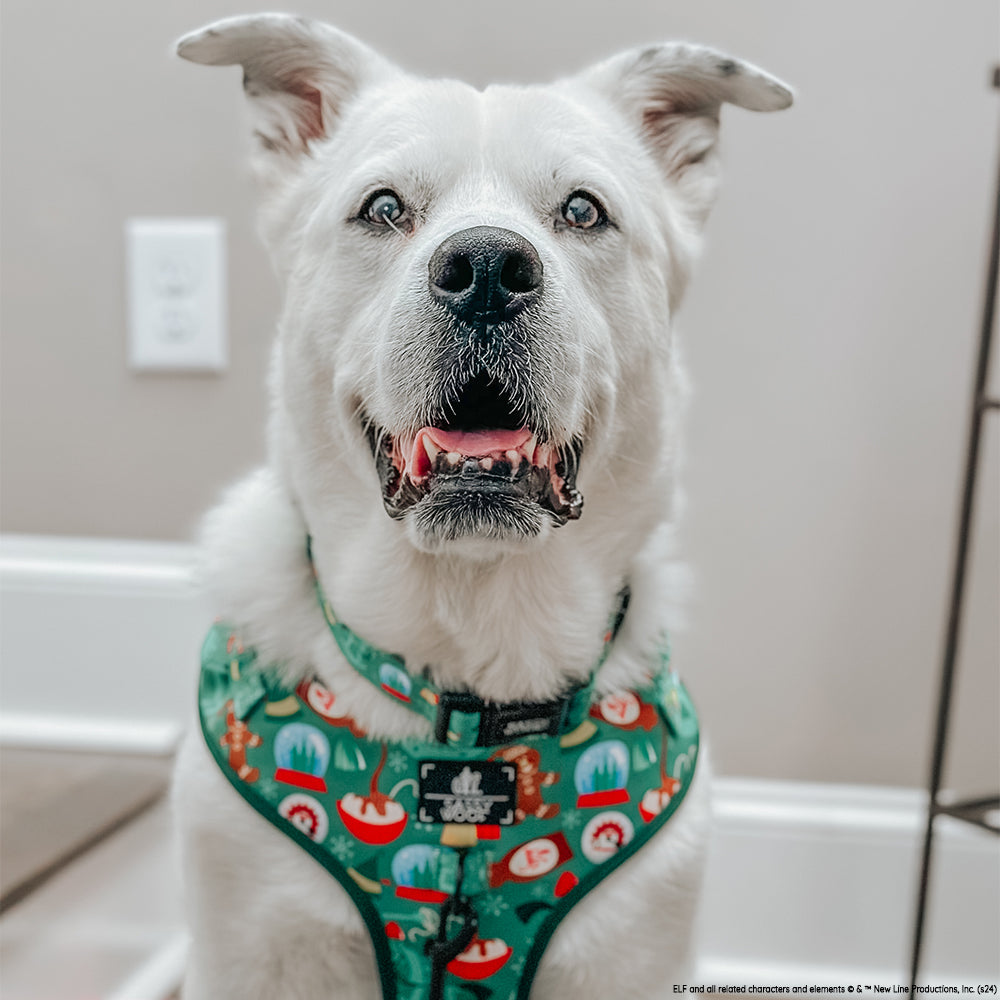 Dog Two Piece Bundle -  Elf™