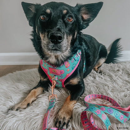 Dog Two Piece Bundle - Polly Pocket™