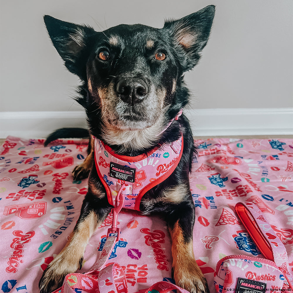 Dog Two Piece Bundle - Mean Girls™