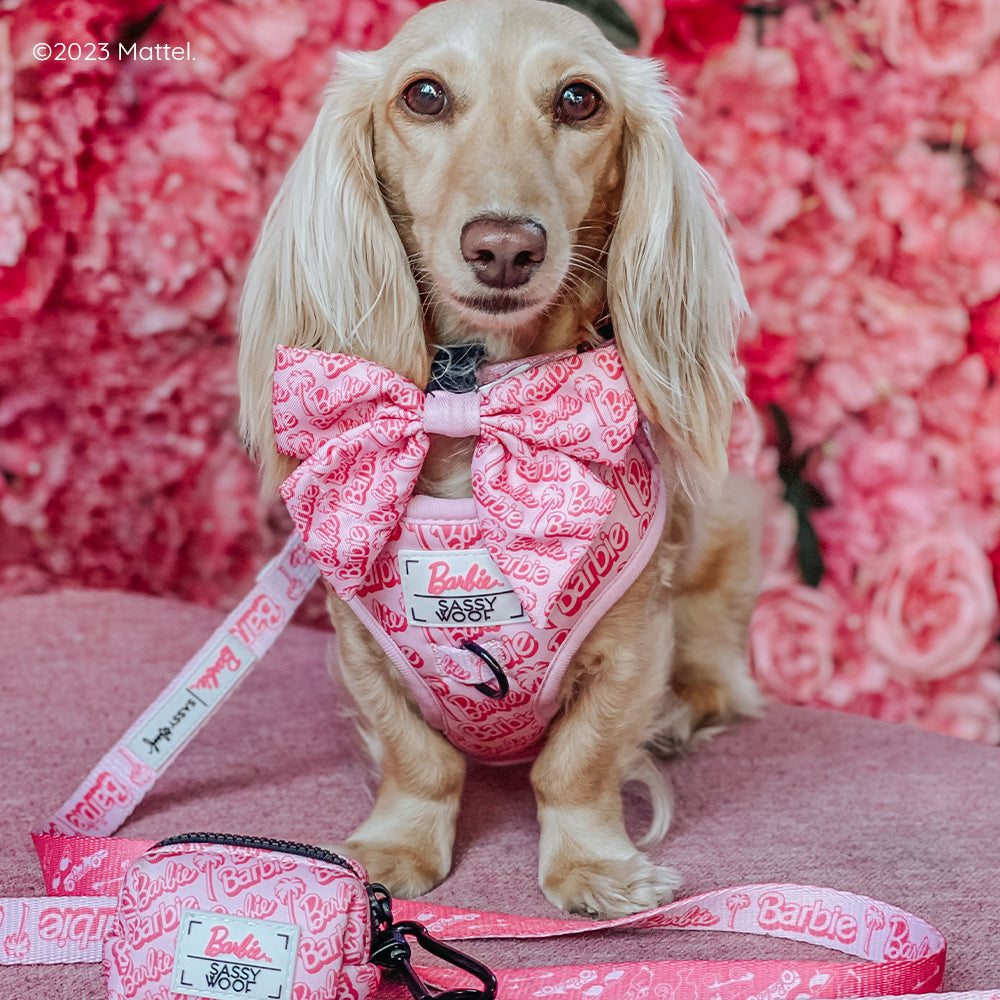 Dog Waste Bag Holder - BARBIE™ Malibu