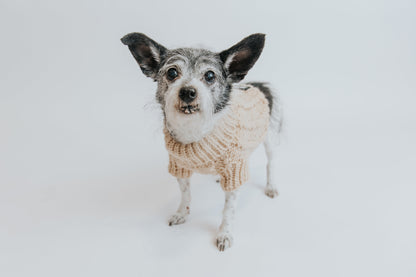 Pet Cable Knit Sweater - Beige
