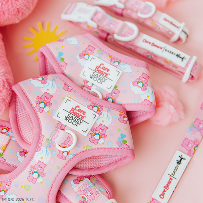 Dog Two Piece Bundle - Care Bears™ Cheer Bear