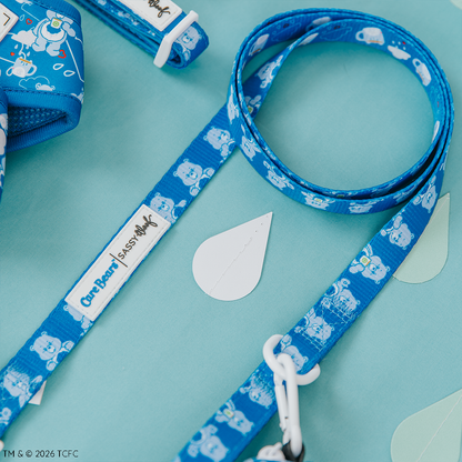 Dog Collar Three Piece Bundle - Care Bears™ Grumpy Bear