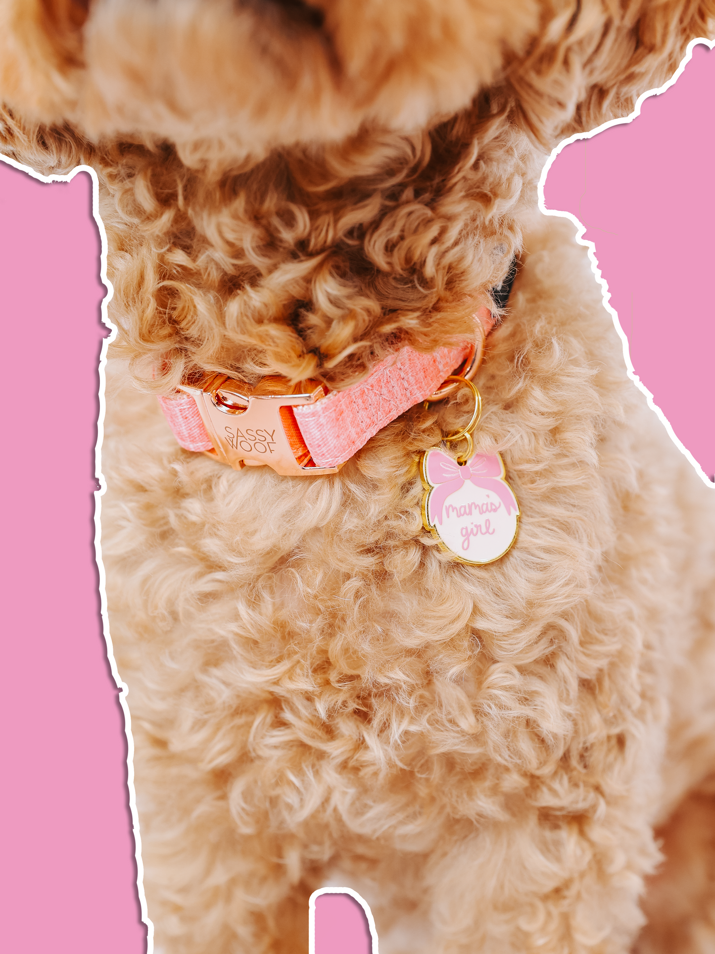Collar Tag - Mama's Girl (Gold)