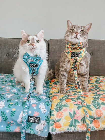 Cat Leash - Zest Friends