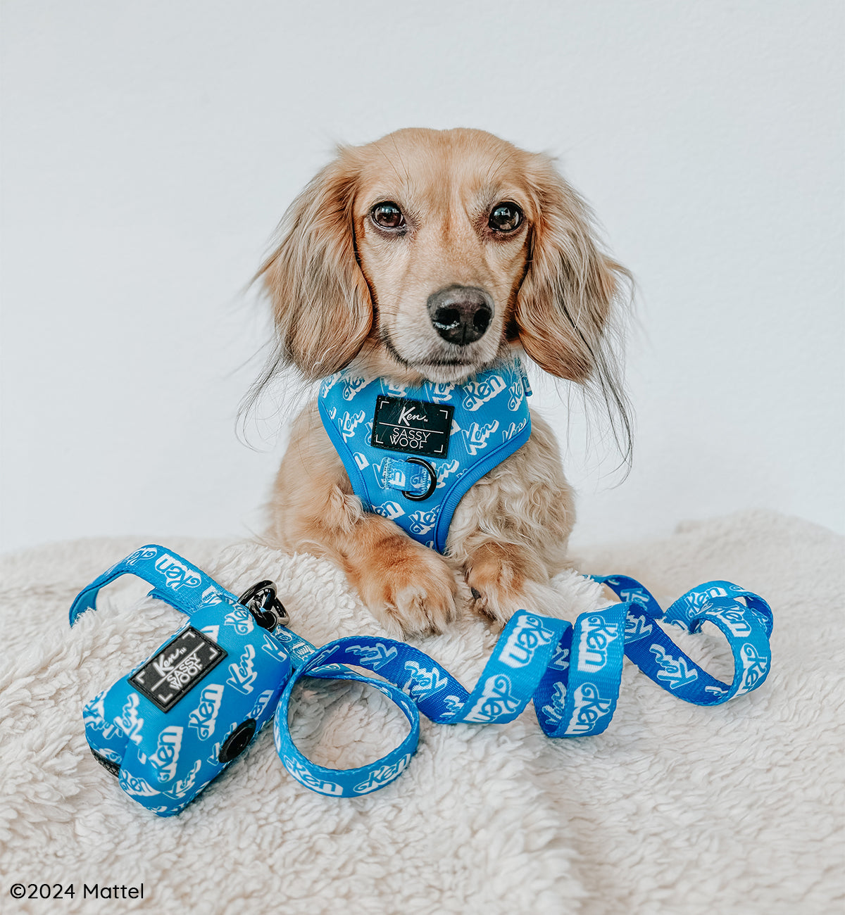 Dog Waste Bag Holder - KEN™