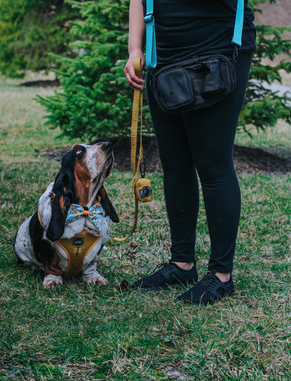 Dog Parent Bag + Strap